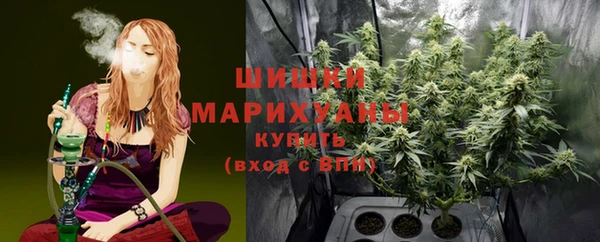 винт Верея