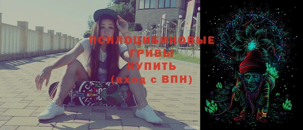 винт Верея