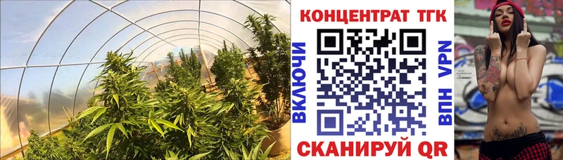 ТГК Wax Ростов